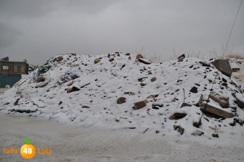 iceman lud 1213 (85).JPG